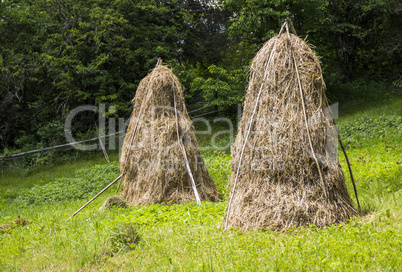 stacks of hay