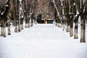 alley in winter