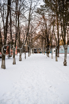 alley in winter