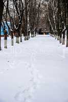 alley in winter