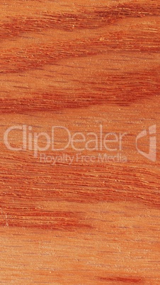 Red oak wood background