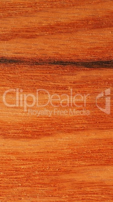 Red oak wood background