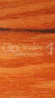Red oak wood background