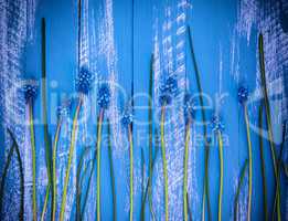 Blue wood background with blue flowers and stems