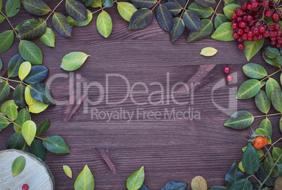 Brown wood background with fallen leaves