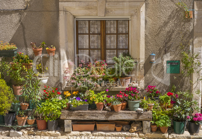 Blumenfenster in Saint-Saturnin-lès-Apt, Provence, Frankreich