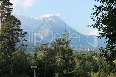 Zugspitzblick im Waldrahmen