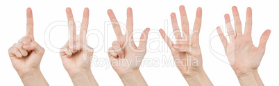 Hand gestures counting from 1 to 5