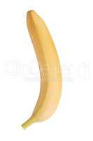 raw Yellow Banana Isolated