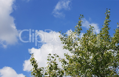 cloud on blue sky