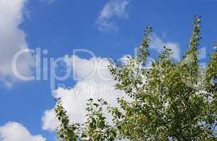 cloud on blue sky