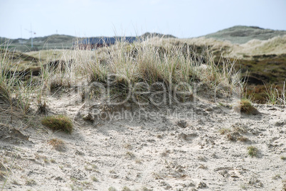 Landscape on Amrum, Germany