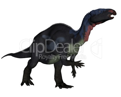 Camptosaurus dinosaur - 3D render