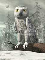 White owl - 3D render