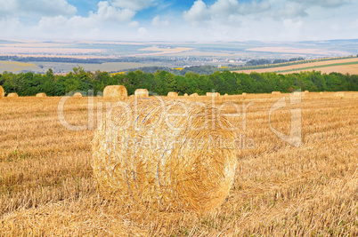 Straw bales on a wheat field and blue sky