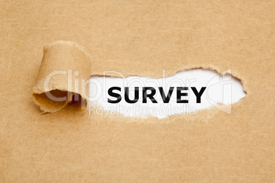 Survey Ripped Paper Concept