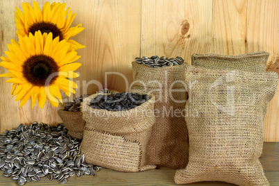 Sunflower seeds, burlap bags, sunflower blossom, wooden table an