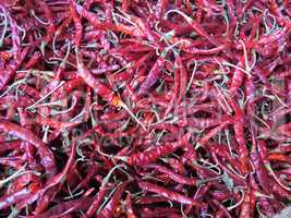 Dried Red Chillies Background
