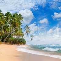 ocean, picturesque beach and blue sky