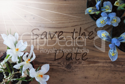 Sunny Crocus And Hyacinth, Text Save The Date