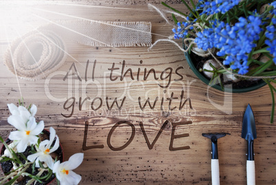 Sunny Spring Flowers, Quote All Things Grow With Love