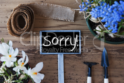 Spring Flowers, Sign, Text Sorry
