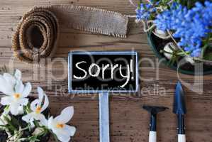 Spring Flowers, Sign, Text Sorry