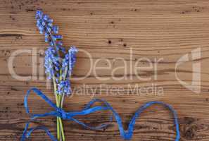 Flat Lay Of Sunny Blue Grape Hyacinth, Copy Space
