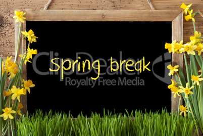 Flower Narcissus, Chalkboard, Text Spring Break