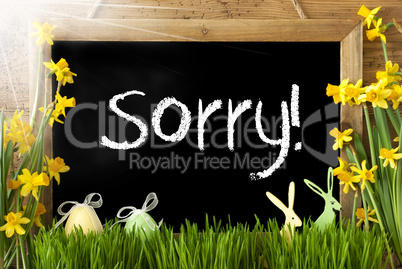 Sunny Narcissus, Easter Egg, Bunny, Text Sorry