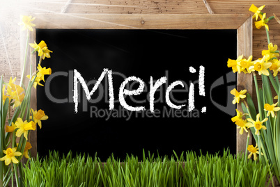 Sunny Spring Narcissus, Chalkboard, Merci Means Thank You