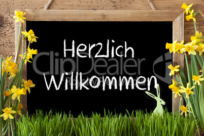 Narcissus, Easter Bunny, Herzlich Willkommen Means Welcome