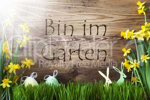 Sunny Easter Decoration, Gras, Im Garten Means In The Garden
