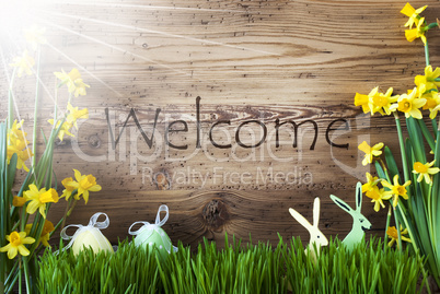 Sunny Easter Decoration, Gras, Text Welcome
