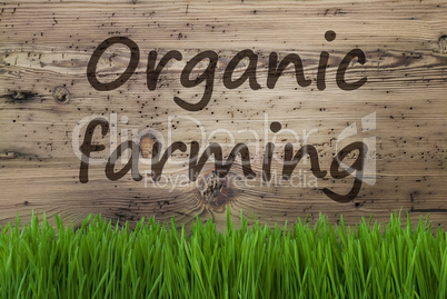 Aged Wooden Background, Gras, Text Organic Farming