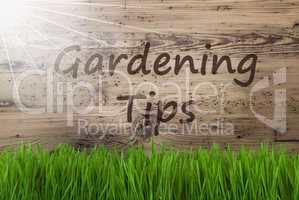 Sunny Wooden Background, Gras, Text Gardening Tips