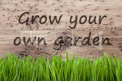 Bright Wooden Background, Gras, Grow Your Own Garden