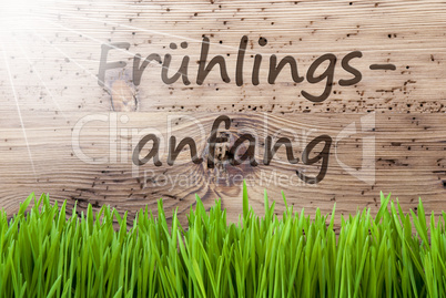 Bright Sunny Background, Gras, Fruehlingsanfang Means Beginning Of Spring