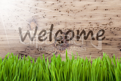 Bright Sunny Wooden Background, Gras, Text Welcome