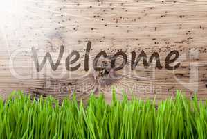 Bright Sunny Wooden Background, Gras, Text Welcome