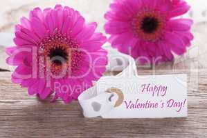 Pink Spring Gerbera, Label, Text Happy Valentines Day