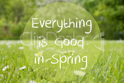 Gras Meadow, Daisy Flowers, Quote Everything Is Good In Spring
