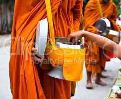 Offer food to monk on early morning