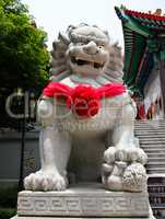Chinese Lion Stone Sculpture in the Chinese Temple in Nonthaburi