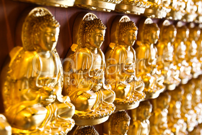 Many small Buddha statue on the wall at chinese temple, Thailand