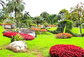 Mae Fah Luang Garden,locate on Doi Tung,Thailand