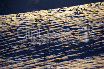 Schneefläche