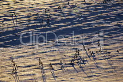 Schneefläche