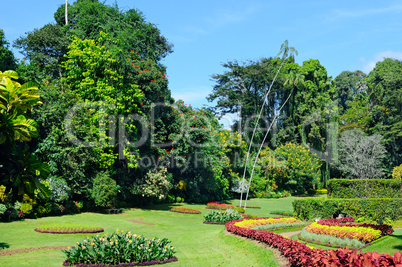 magnificent tropical park with flower beds, lawns and trees