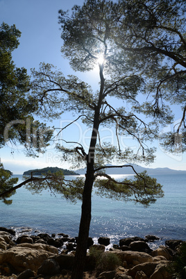 Küste an der Formentor-Halbinsel, Mallorca